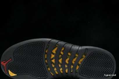 Hyperoad 12 